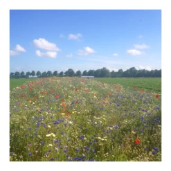 Tuinverzorging Winkel -Tuinverzorging Winkel image 195