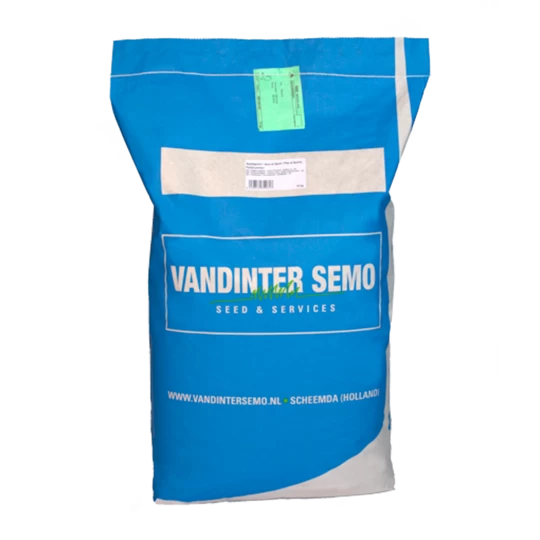 VDS Zwaardherik (Eruca Sativa) 4 VDS Zwaardherik (Eruca Sativa) - Afbeelding 2