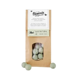 Blossombs Kraftzak Zaadbolletjes - Kies Je Kleur! 13 Blossombs Kraftzak Zaadbolletjes - Kies Je Kleur! -Tuinverzorging Winkel image 240