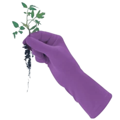 De Wiltfang Foxgloves Original -Tuinverzorging Winkel image 329