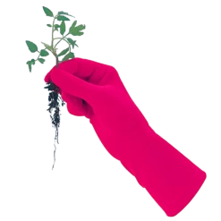 De Wiltfang Foxgloves Original -Tuinverzorging Winkel image 330