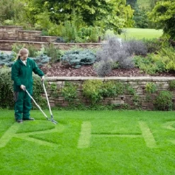 De Wiltfang Grasschaar Vlak, Loopmodel -Tuinverzorging Winkel image 344