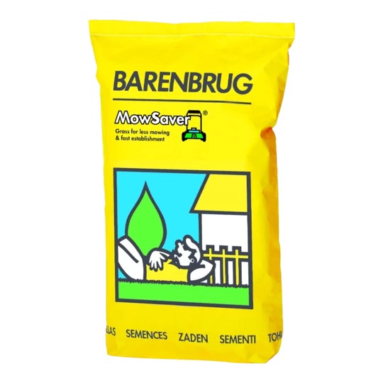 MRS Seeds & Mixtures Akkerflora 10-tal 4 MRS Seeds & Mixtures Akkerflora 10-tal - Afbeelding 2